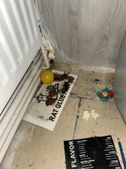 Mice house situation ongoing