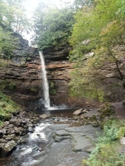 Year round Nigel Slater discussion thread Part 2