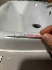 TTC TWW August/September 2025