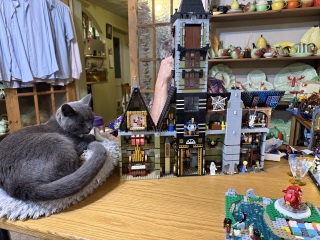 To show me your LEGO collection- Part 2
