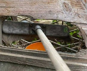 AIBU to stop next doors sick cat coming into my garden?