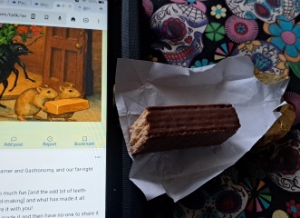 The Autumn Bluestocking - mist, mellow fruitfulness and hot chocolate!