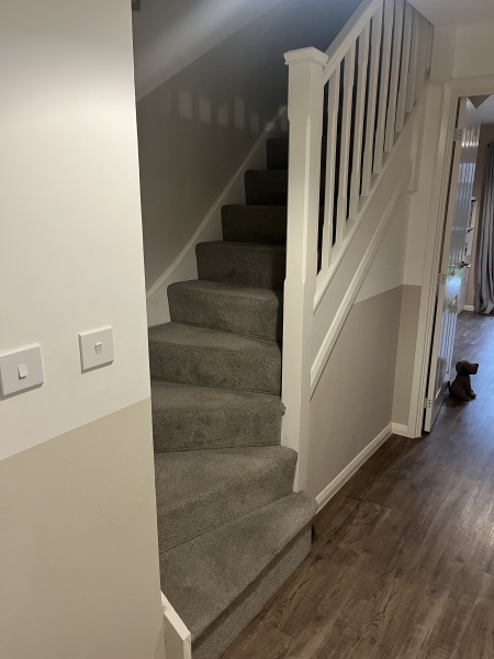 Is panelling nice or just “Chavvy”?