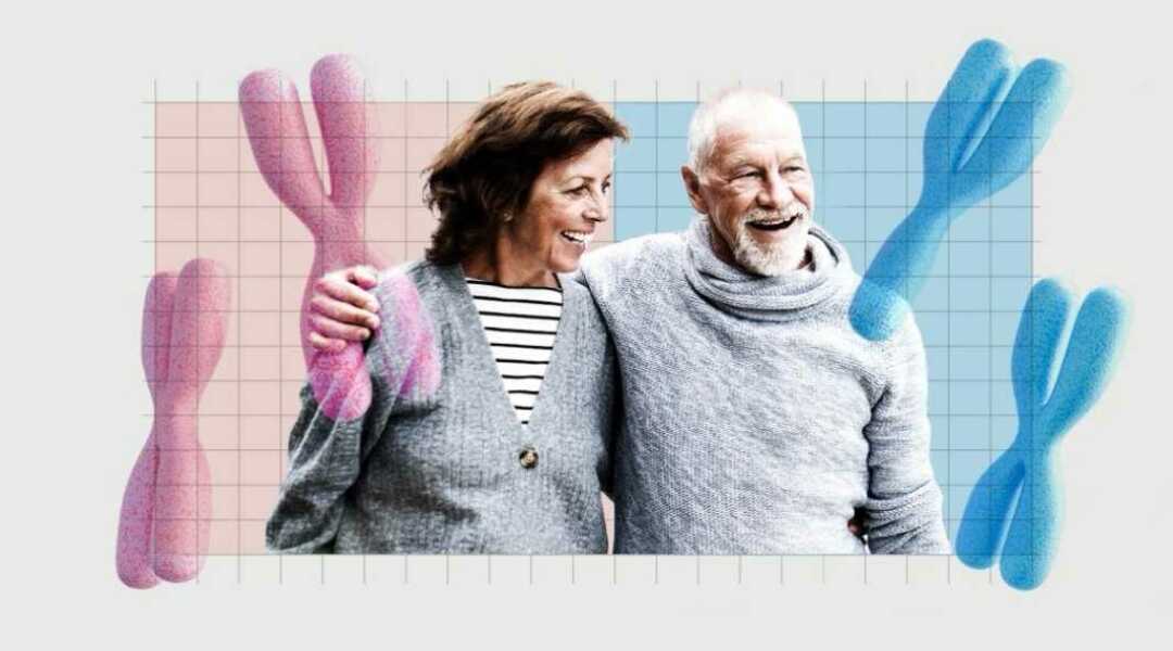 Chromosome confusion