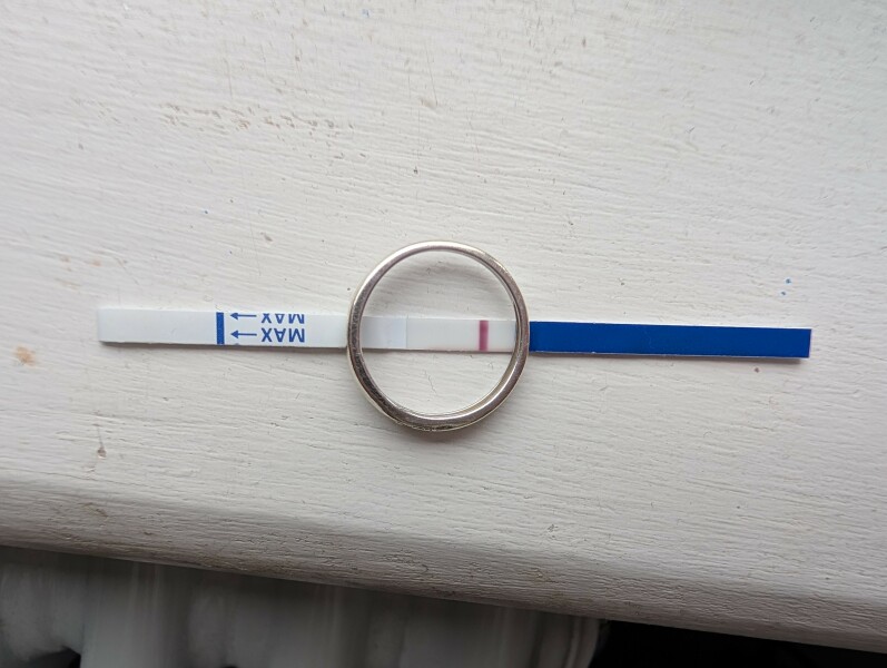 10dpo does anybody see it? X