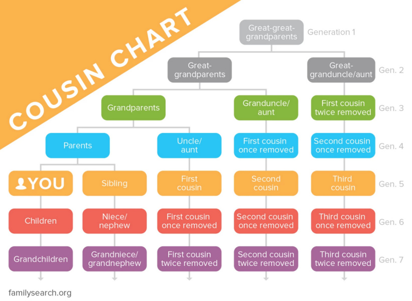 First cousin 1 x removed?
