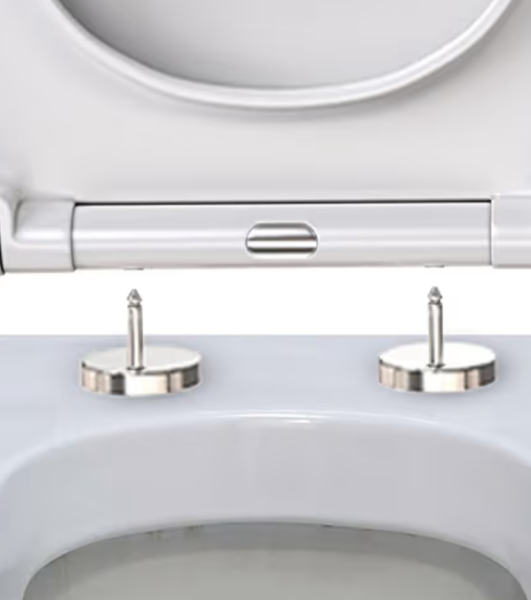 Toilet seat