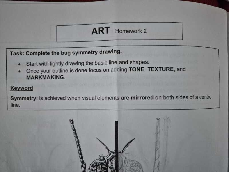 Can anyone help with DD's art homework?