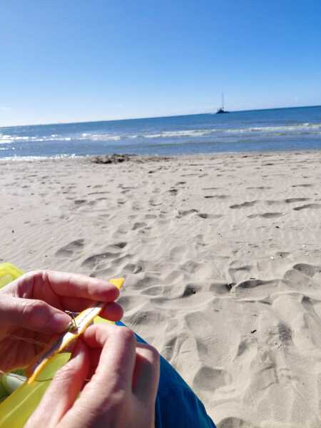 Poncetastic Christmas 2025