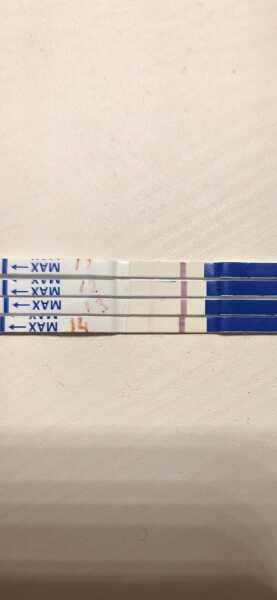 TTC TWW October 2025 🫶🏻