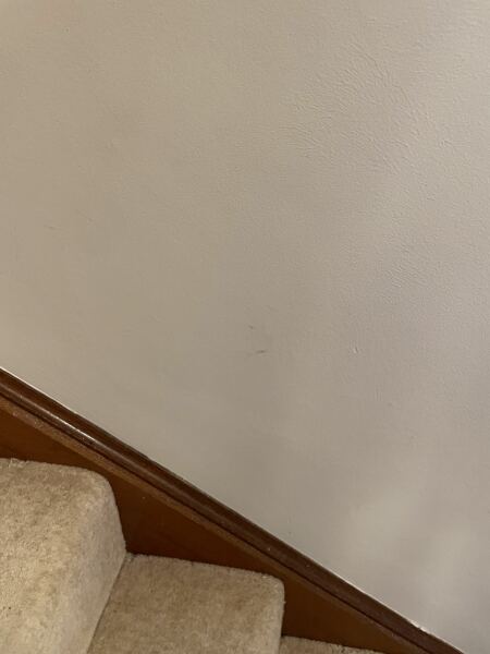 Replacing grey with beige/browns?