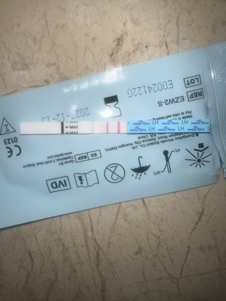 Is this a positive opk (first period after abortion)