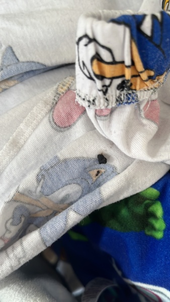 Mouse droppings???