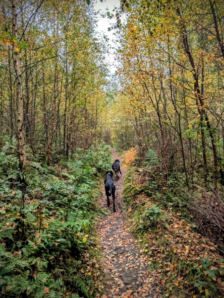 Autumn is the worst season