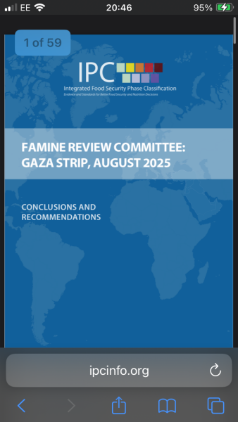 Why would would you still have pro Palestinian marches apart from now instilling more fear into the Jewish community