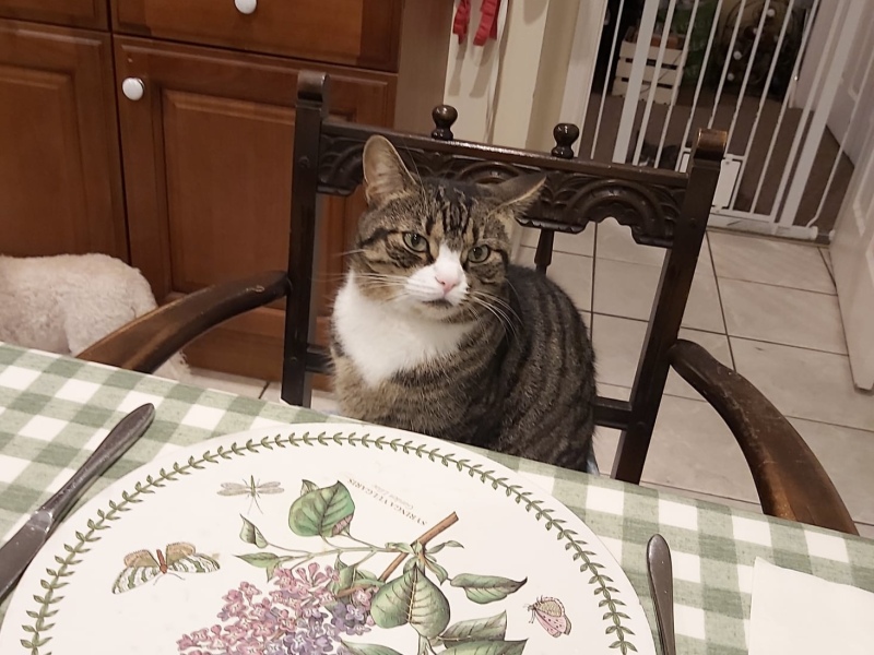 Thread 36 Starmer - Triggered by ads and Da iawn, Caerffili.