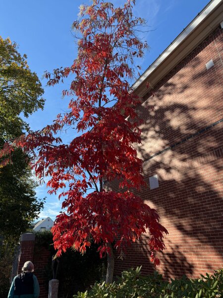 Thread 18 - TalkLair: "That's no moon. It's a space station!"