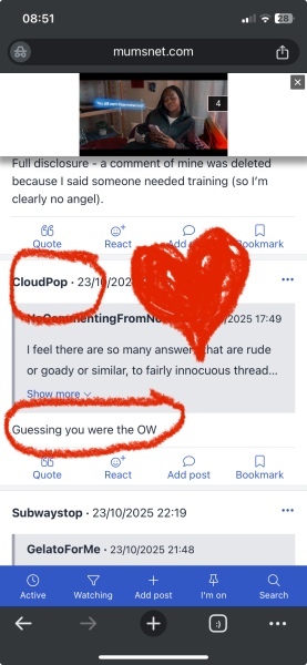 Unpleasant thread answers, but not ‘personal attacks’? Does it make Mumsnet into a place you don’t want to engage with as much, or at all?