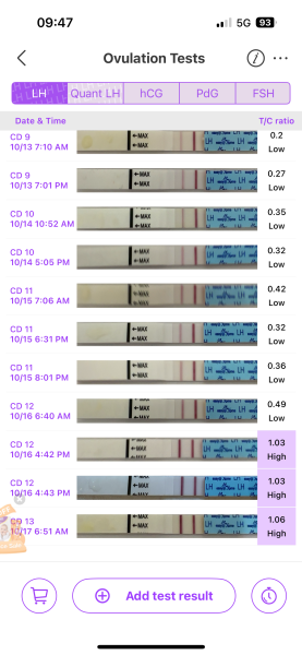 TTC TWW October 2025 🫶🏻