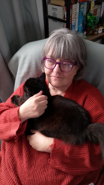 My cat cries for fuss than sits just slightly out of reach? Why??