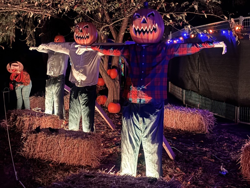 Come and tell us your dull and unexciting news 34: Calmly through the day