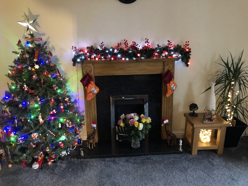 Show me your colourful Christmas trees