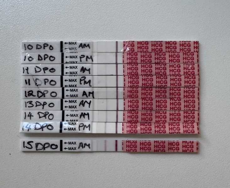 Is this normal line progression?