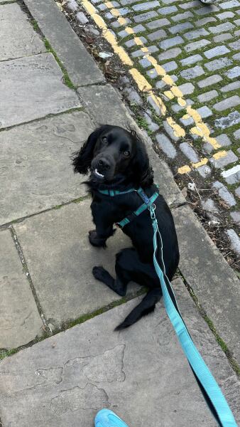 Our Cosmic Autumn Rebellion (Adolescent Support Group)