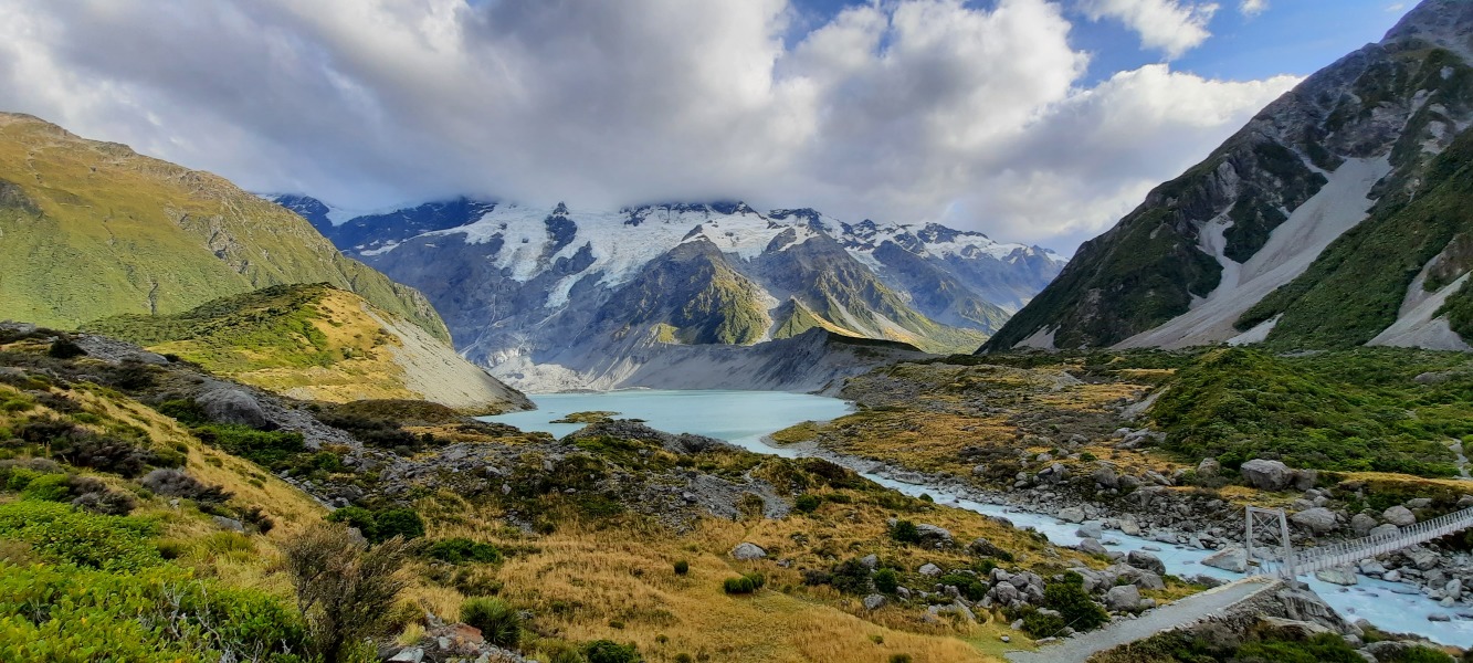 I have lived and worked in New Zealand for 20 years - AMA