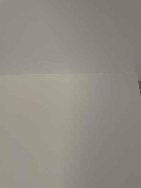 Deciding on Paint colour, is Dulux Timeless Yellow?