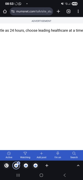 Another full screen and rendering the site unusable