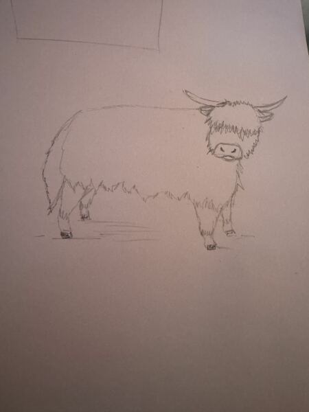 What are you doing for Christmas this week?