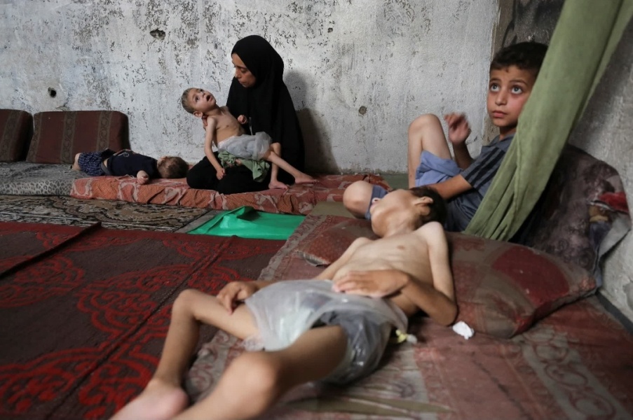 Gaza Flotilla - genuine peace activists or Hamas puppets?