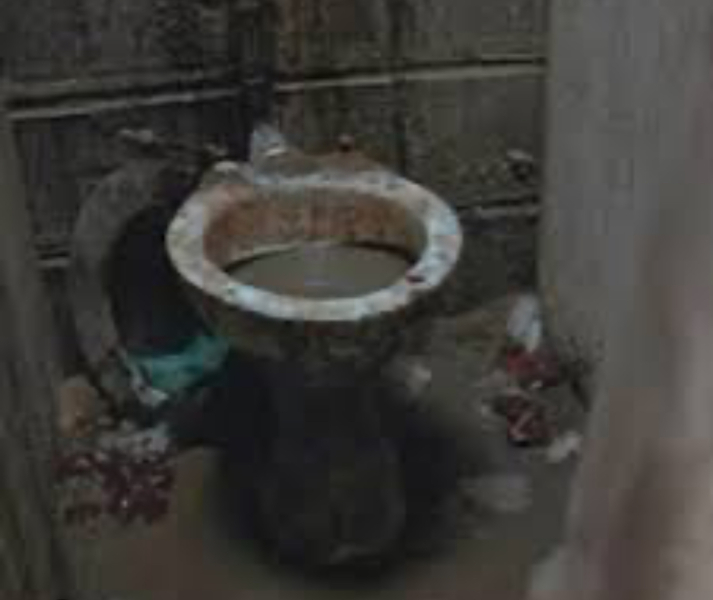 How to clean a toilet