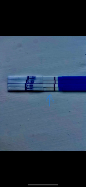 Review this test