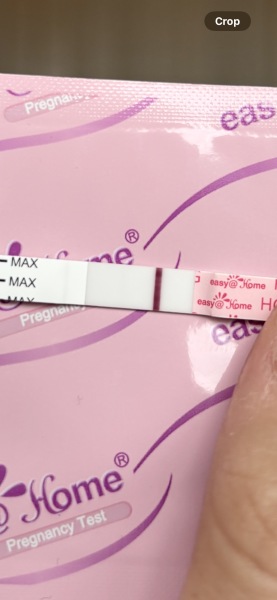 13dpo are these lines too faint?