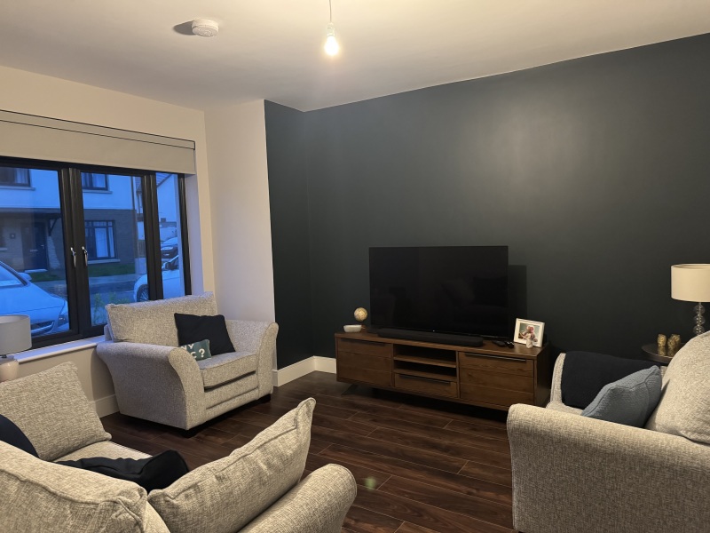 Living room colour ideas or inspiratoin?