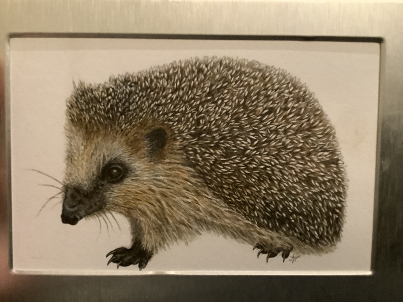 The Bluestocking, where the short days shorten and the oaks are brown