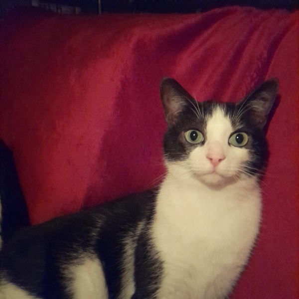 The Happy Place Café and Tilly's dog wash is still open.