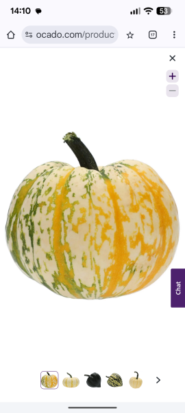 Stuffed squash recipe query