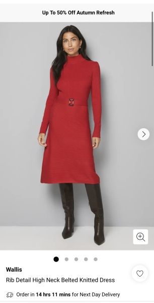 Winter day dresses - suggestions and styling