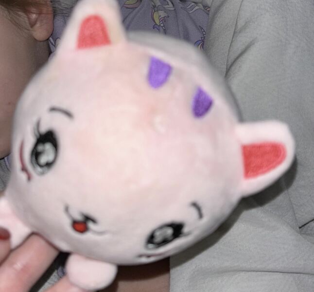 Help me find this toy for my DD