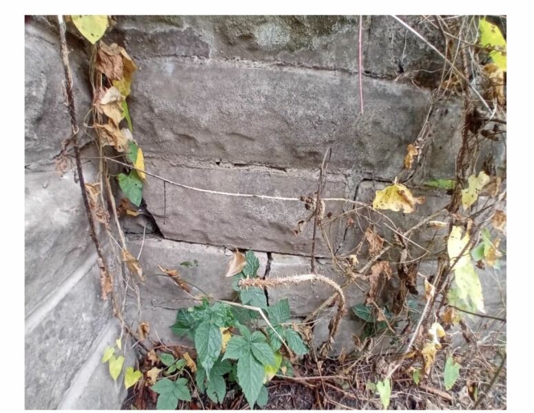 Structural engineer report - retaining wall at back of garden