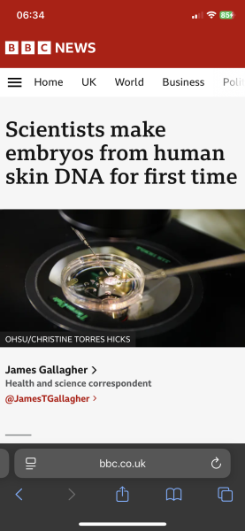 Why women aren’t having babies
