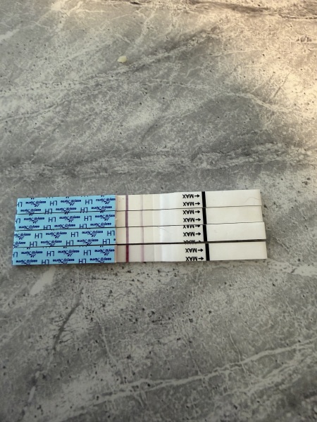 TTC TWW October 2025 🫶🏻