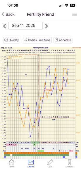 TTC TWW October 2025 🫶🏻