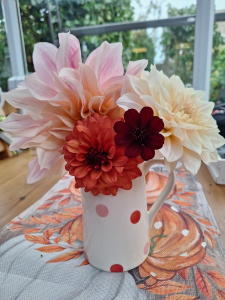 Year round Nigel Slater discussion thread Part 2