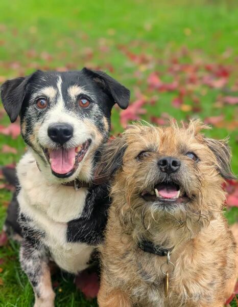 Thread #6, living with incurable cancer, taking ALL the drugs, and remembering our fallen comrades