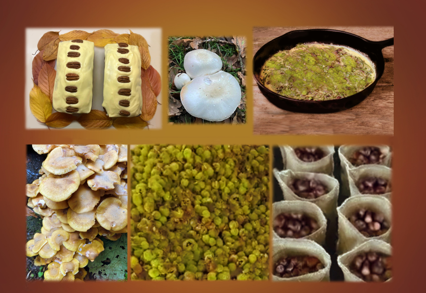 Year round Nigel Slater discussion thread Part 2