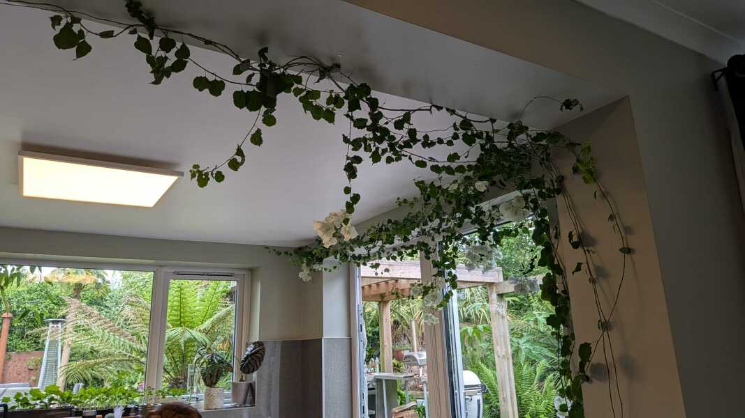 Cancer Support Thread 97: support for those diagnosed and going through treatment